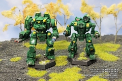 clan_jade_falcon_alpha_galaxy_executioner_hellbringer_by_col_matthew_steiner