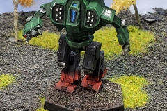 clan_jade_falcon_omega_galaxy_b_by_col_matthew_steiner