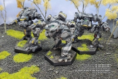 clan_smoke_jaguar_delta_galaxy_cauldorn_born_mad_dog_nova_by_col_matthew_steiner