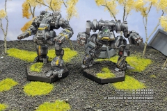 clan_smoke_jaguar_delta_galaxy_mad_dog_nova_by_col_matthew_steiner