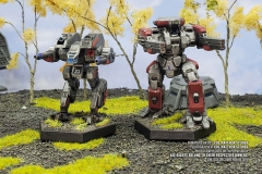 clan_smoke_jaguar_zeta_galaxy_rifleman_IIC_by_col_matthew_steiner