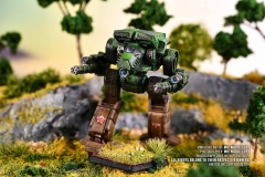 clan_wolf_gamma_galaxy_tomahawk_1_by_mrtwiddlecups
