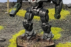 clan_wolf_tactical_response_cluster_by_col_matthew_steiner