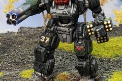 clan_wolf_tactical_response_cluster_executioner_by_col_matthew_steiner