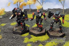 draconis_combine_ryuken_roku_panther_griffin_valkyrie_by_col_matthew_steiner