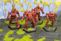 draconis_combine_sword_of_light_shadow_hawk_dracon_panther_wolverine_by_col_matthew_steiner