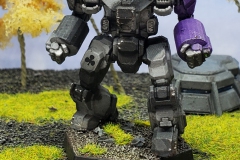 free_worlds_league_generic_crusader_by_col_matthew_steiner