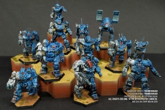 lyran_commonwealth_lyran_guard_groupshot_by_thunderhead