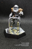lyran_commonwealth_arcturan_guard_15th_commando_by_dsteelgm