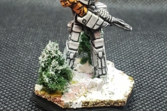 lyran_commonwealth_arcturan_guard_15th_stinger_by_dsteelgm