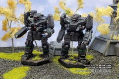 lyran_commonwealth_donegal_guard_banshee_by_col_matthew_steiner