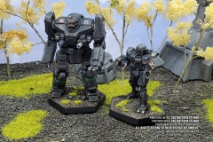 lyran_commonwealth_donegal_guard_banshee_commando_by_col_matthew_steiner