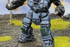 lyran_commonwealth_donegal_guard_zeus_by_col_matthew_steiner