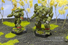 mercenaries_eridani_light_horse_shadow_hawk_awesome_by_col_matthew_steiner