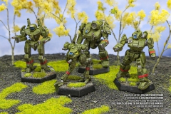 mercenaries_eridani_light_horse_shadow_hawk_locust_phoenix_hawk_thunderbolt_by_col_matthew_steiner