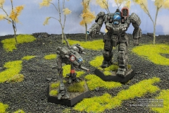 mercenaries_gray_death_legion_locust_battlemaster_by_col_matthew_steiner