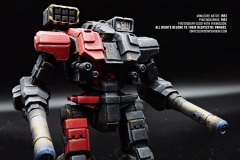 mercenaries_wolfs_dragoons_black_widow_warhammer_A_by_1N51