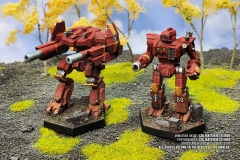 republic_of_the_sphere_principes_centurion_by_col_matthew_steiner