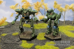 star_league_defense_force_griffin_by_col_matthew_steiner