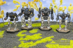 word_of_blake_shadow_division_trebuchet_zeus_banshee_centurion_by_col_matthew_steiner